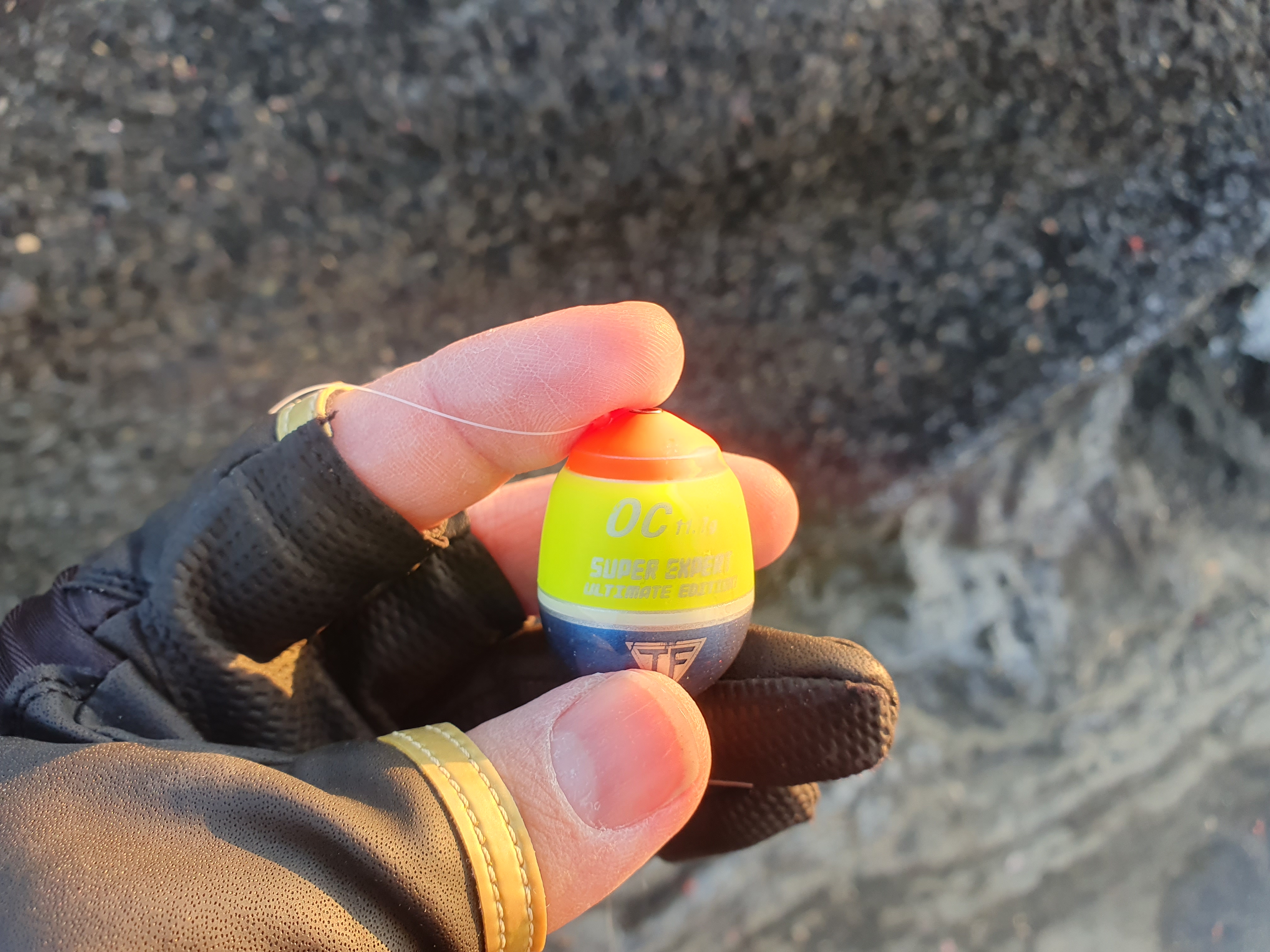 城ヶ島 釣り フカセ釣り メジナ グレ