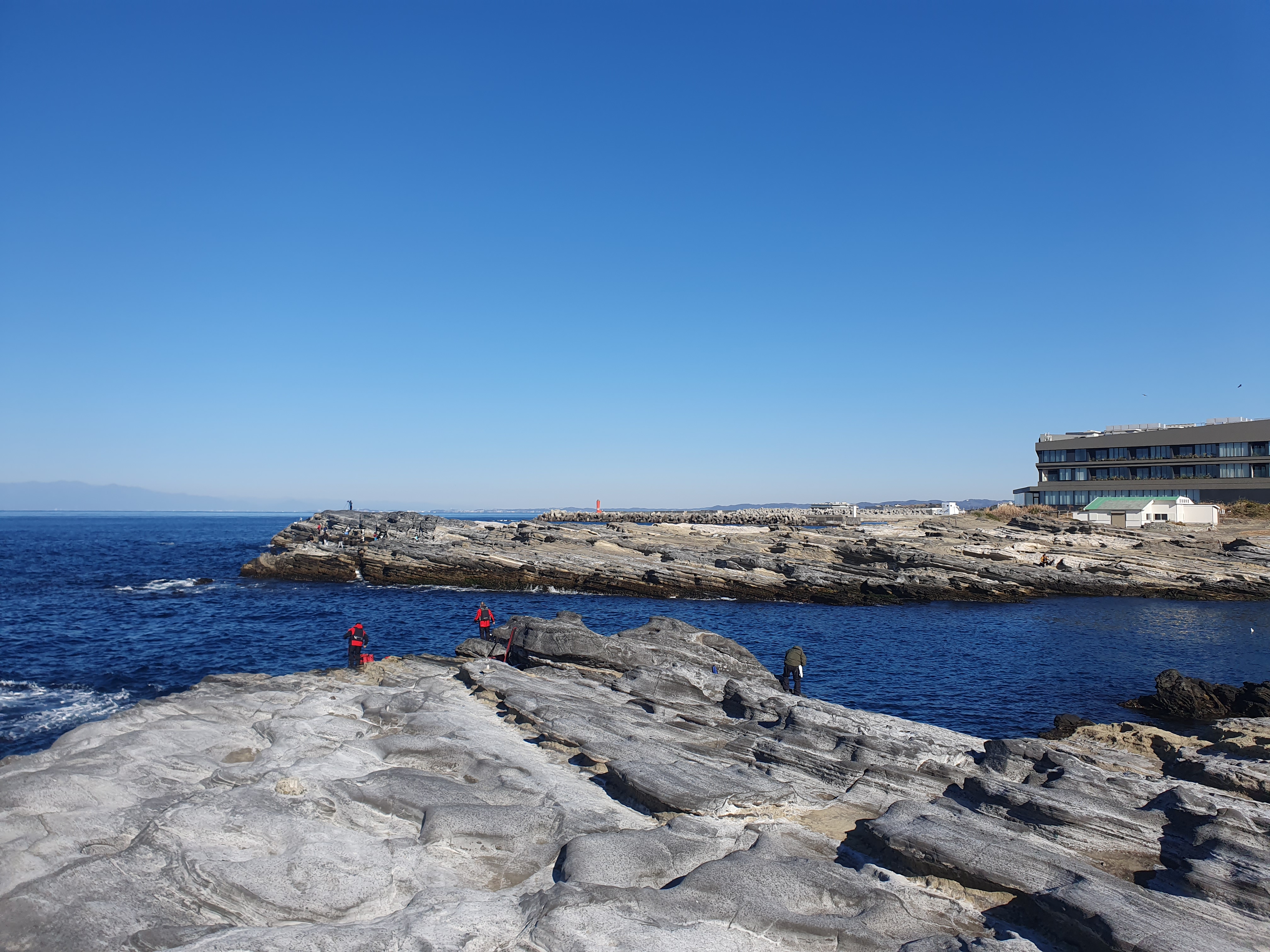 城ヶ島 釣り フカセ釣り メジナ グレ