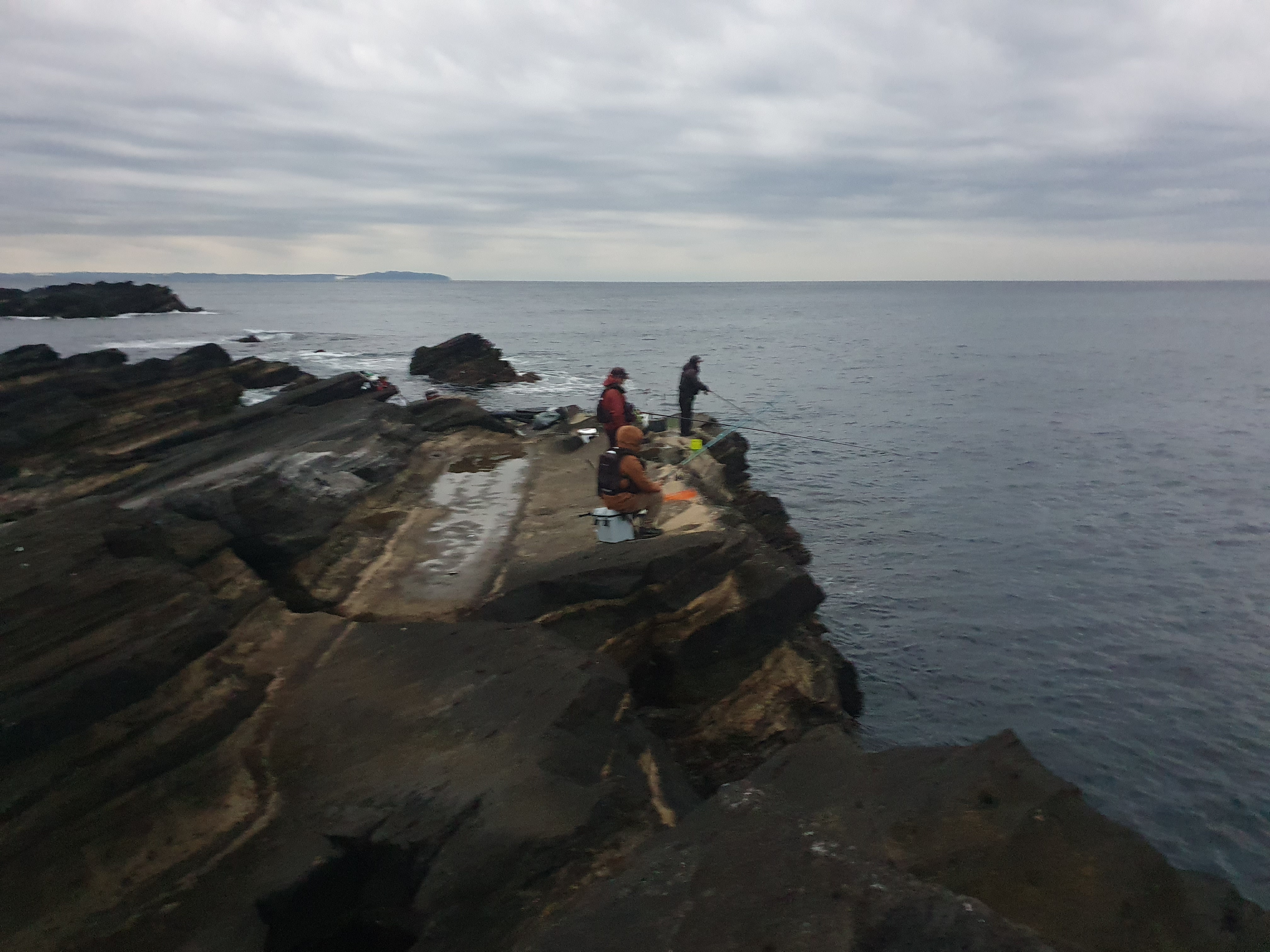【城ケ島ヒナダン】雪が降る中 良型メジナを追い求めてフカセ釣り