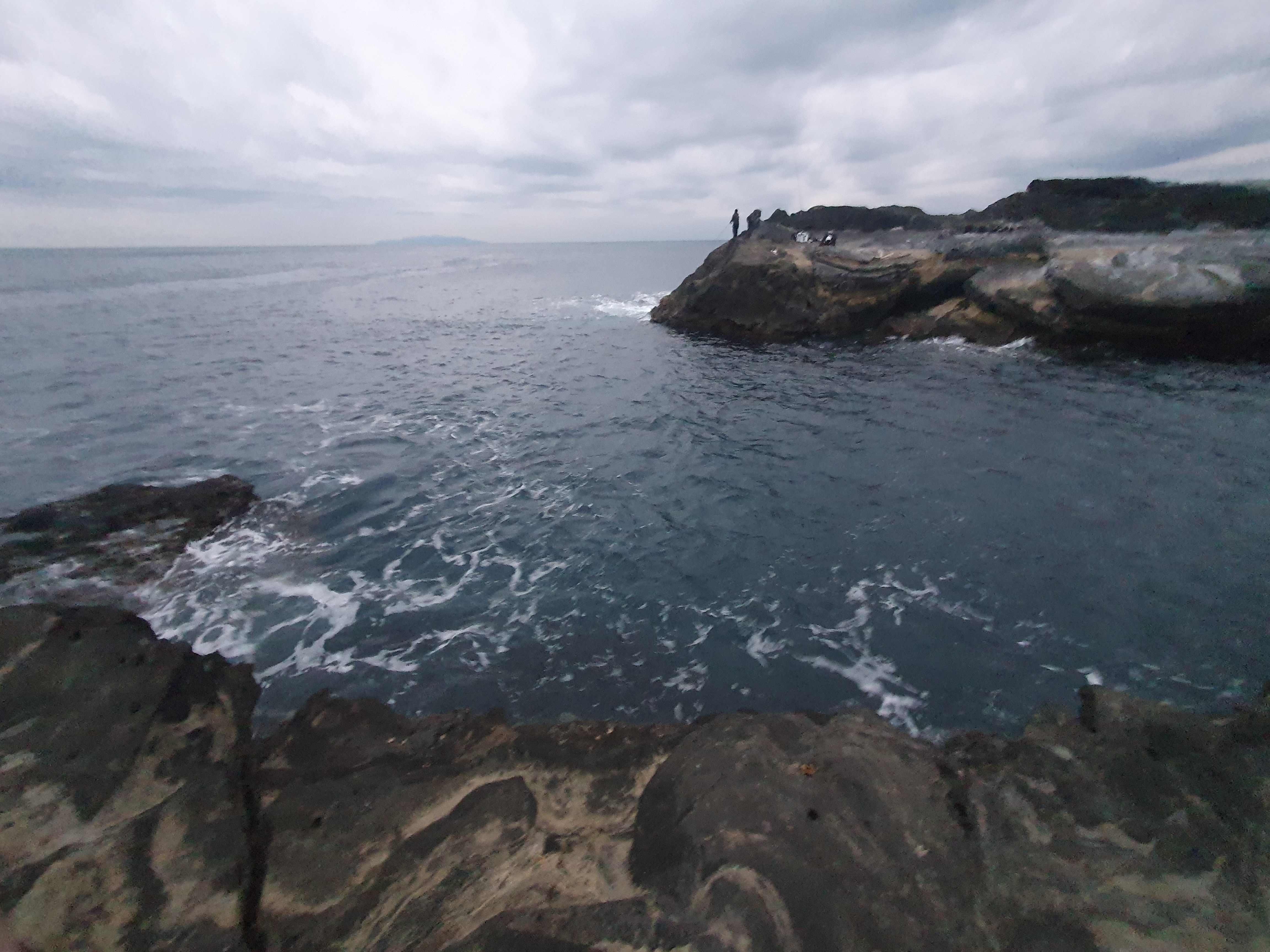 【城ケ島ヒナダン】雪が降る中 良型メジナを追い求めてフカセ釣り