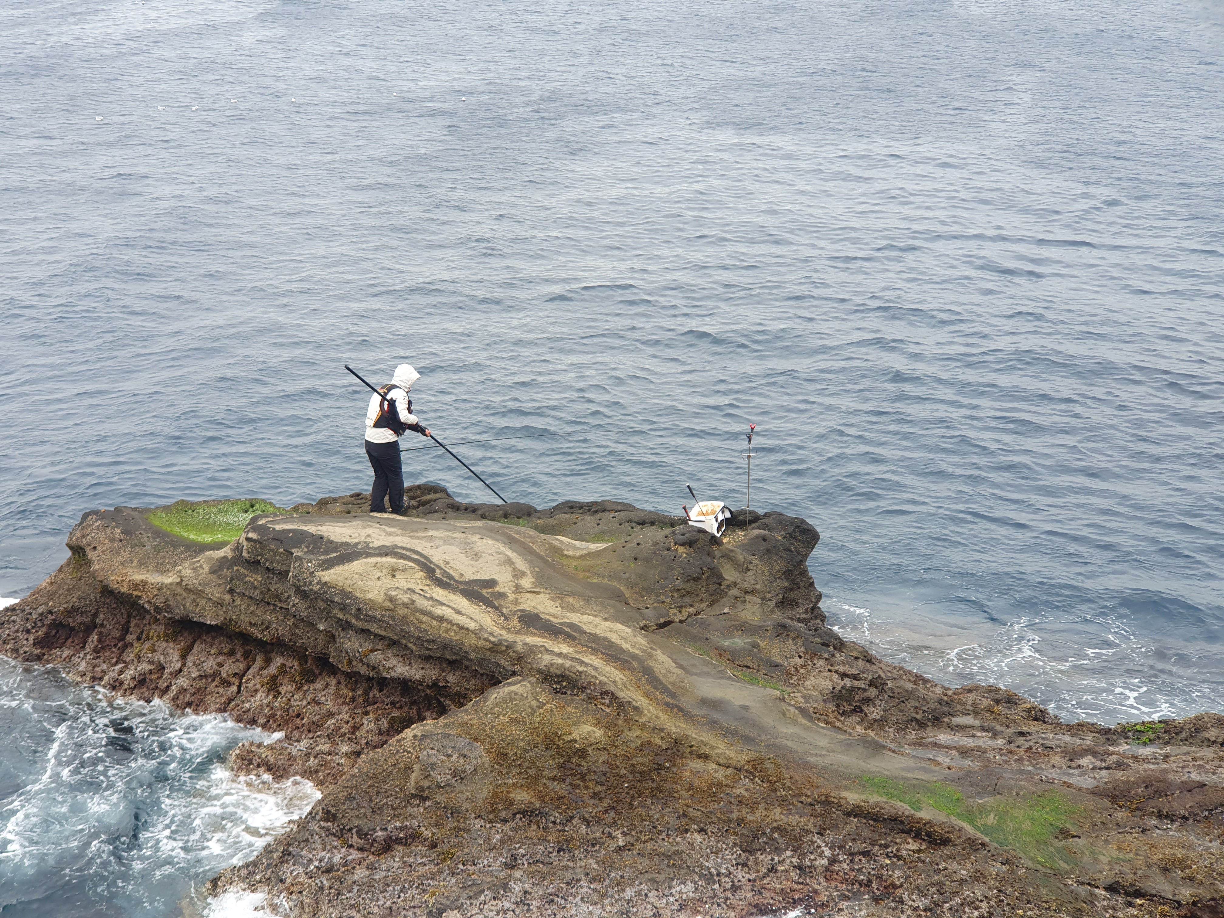 【城ケ島ヒナダン】雪が降る中 良型メジナを追い求めてフカセ釣り