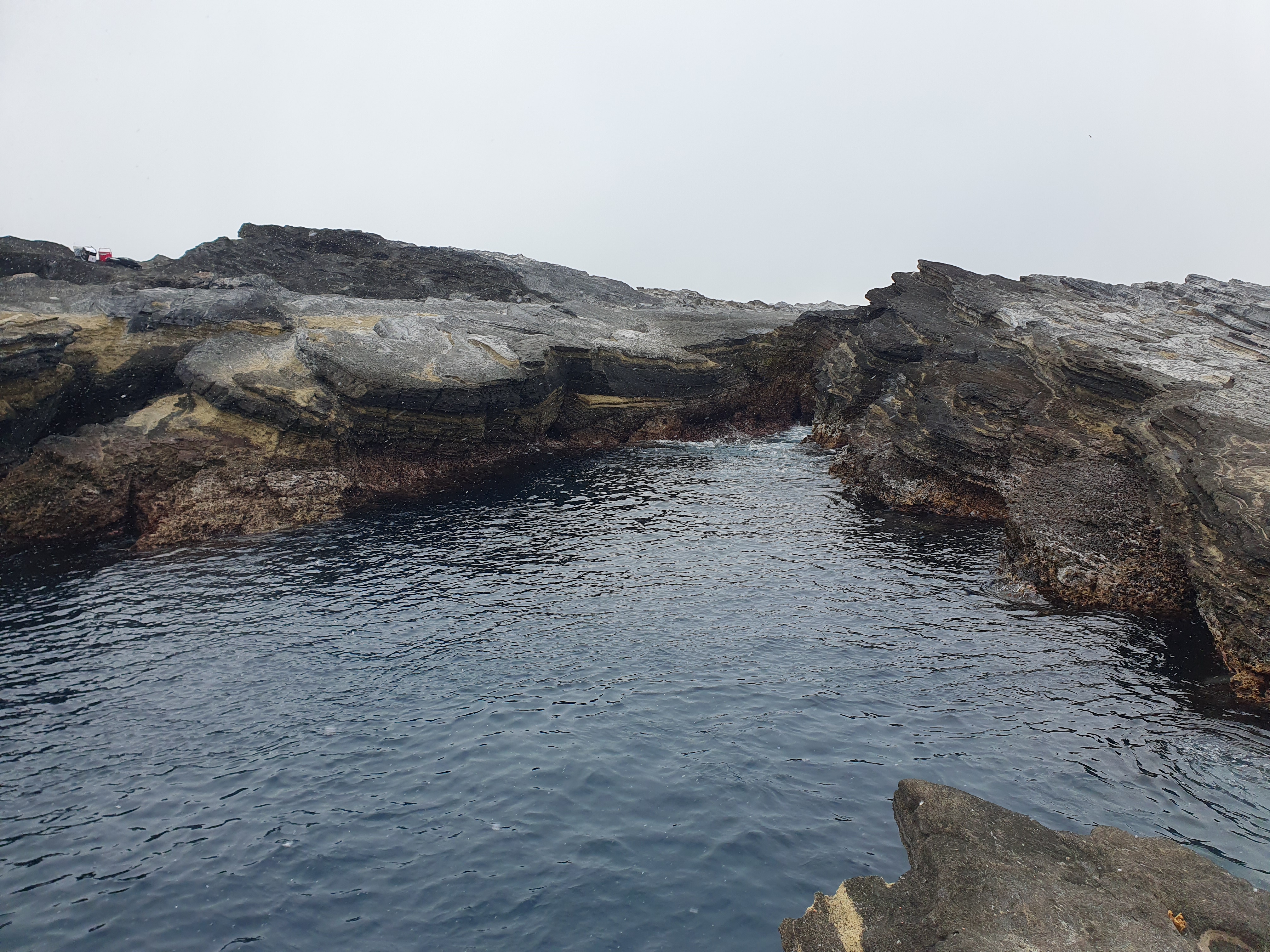 【城ケ島ヒナダン】雪が降る中 良型メジナを追い求めてフカセ釣り