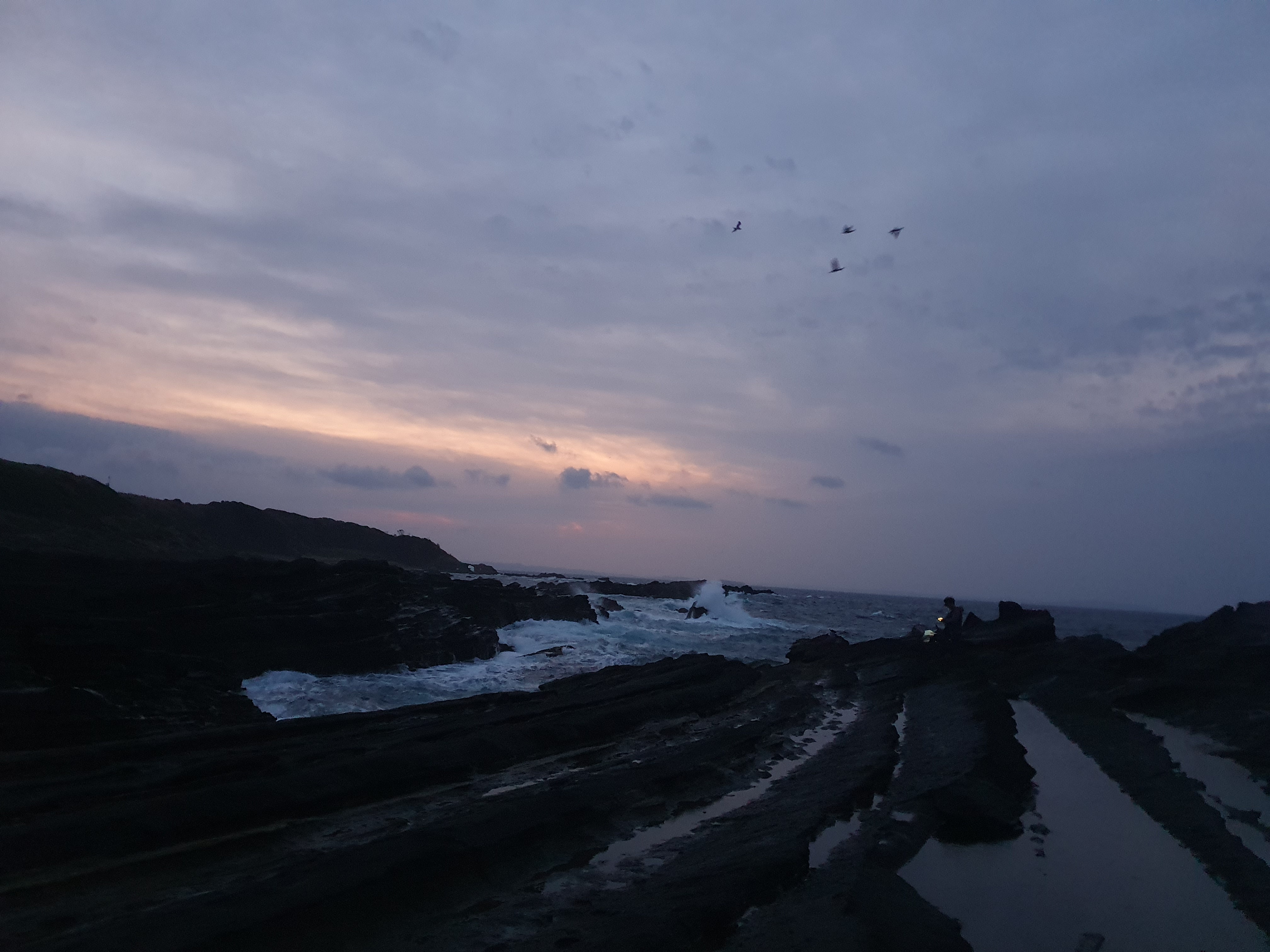 城ヶ島 釣り 神奈川 横浜 三浦半島