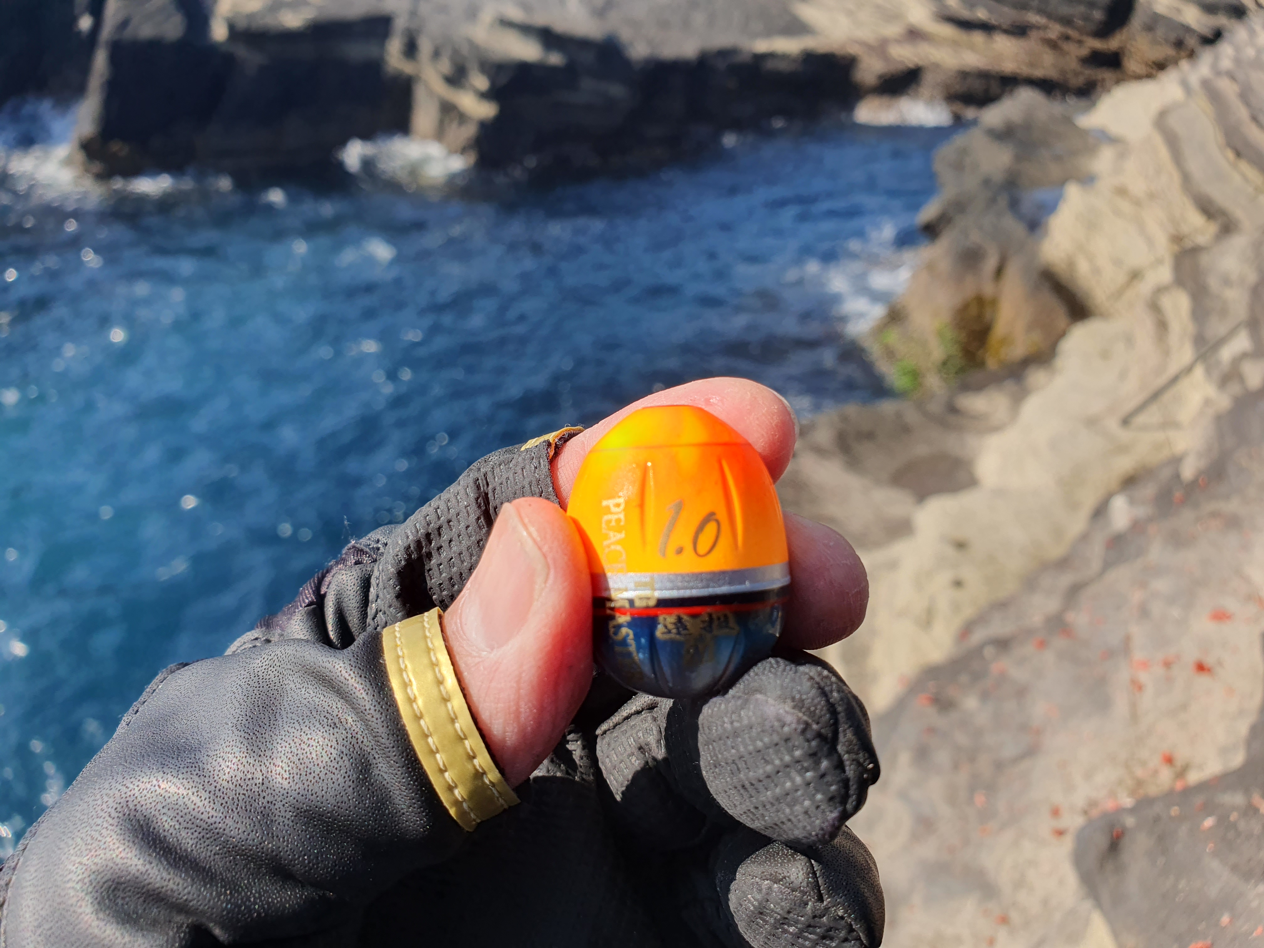 城ヶ島 釣り 神奈川 横浜 三浦半島
