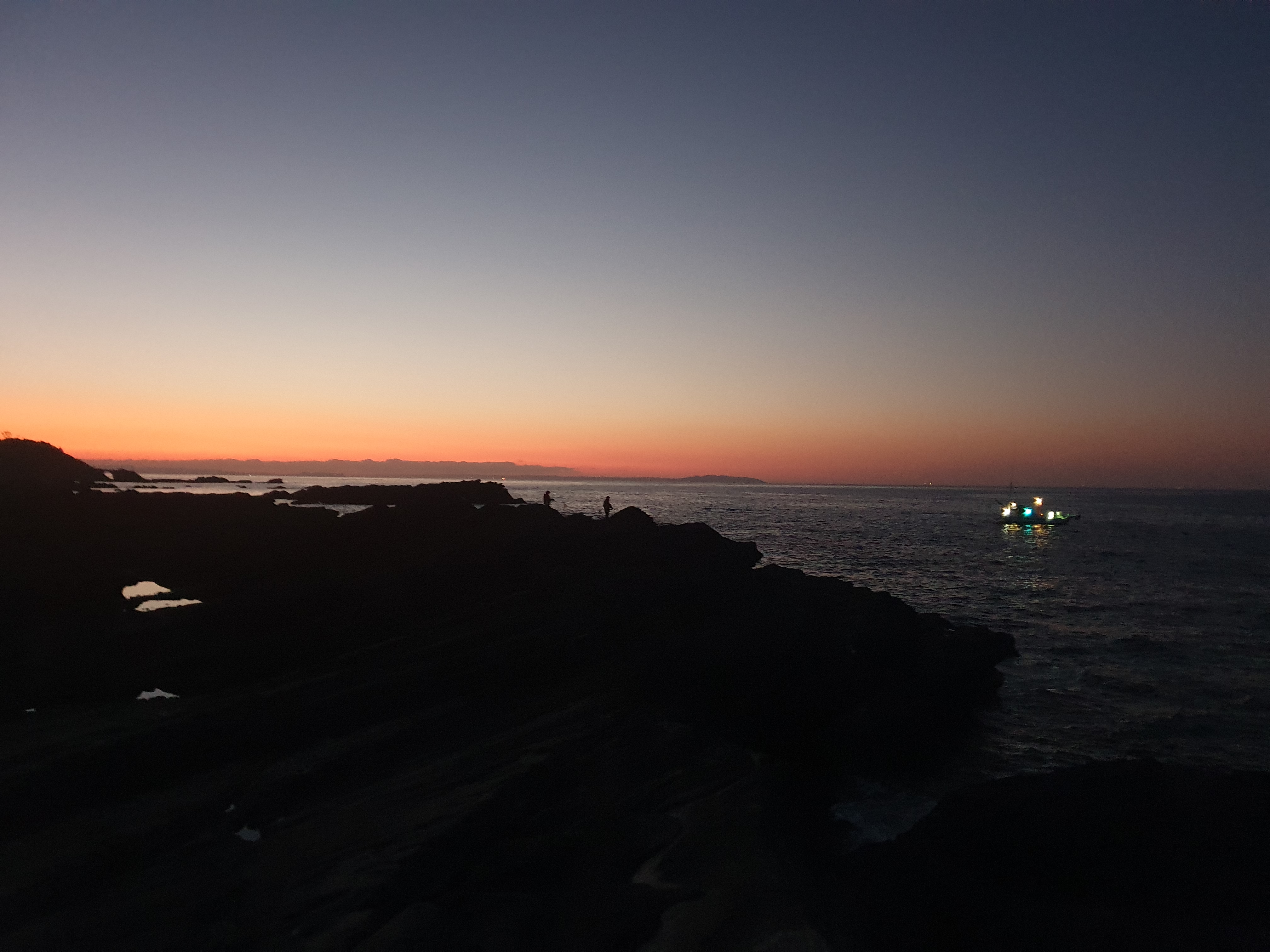 城ヶ島 釣り メジナ グレ
