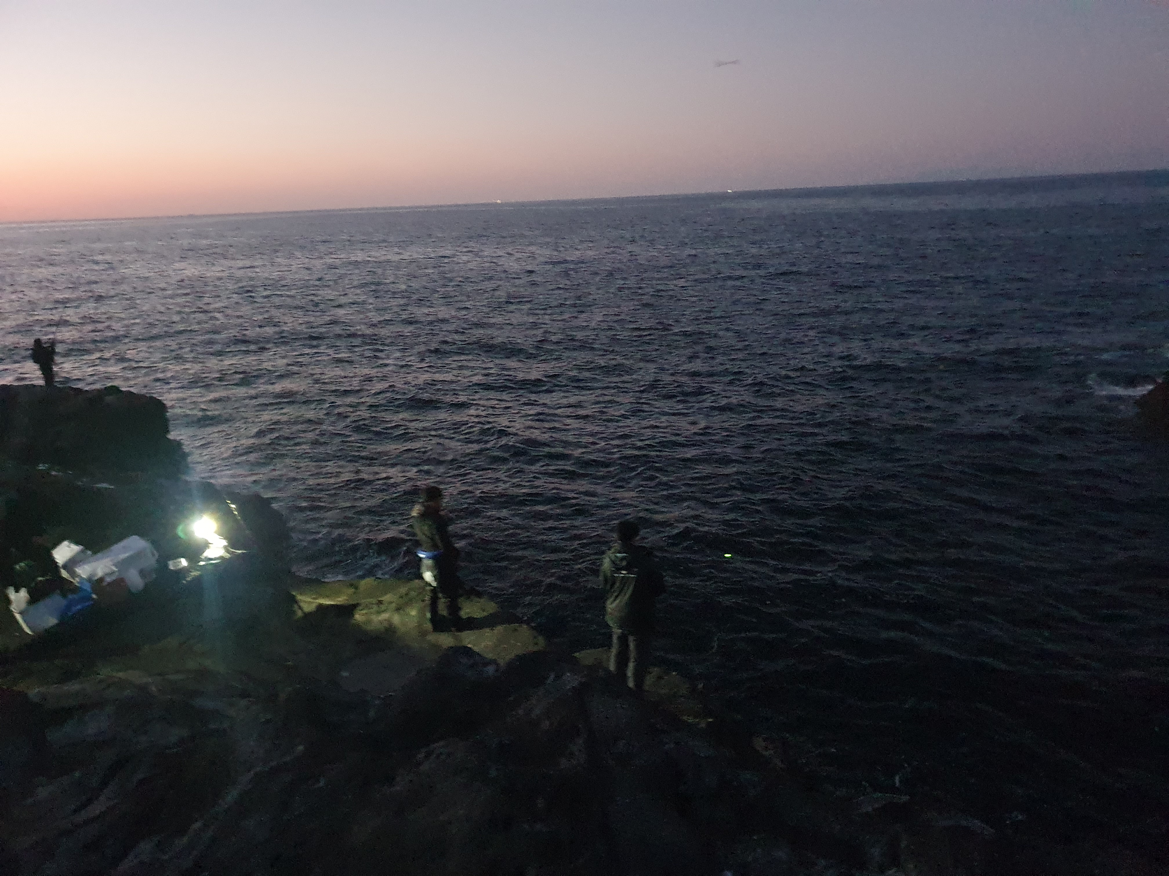 城ヶ島 釣り メジナ グレ