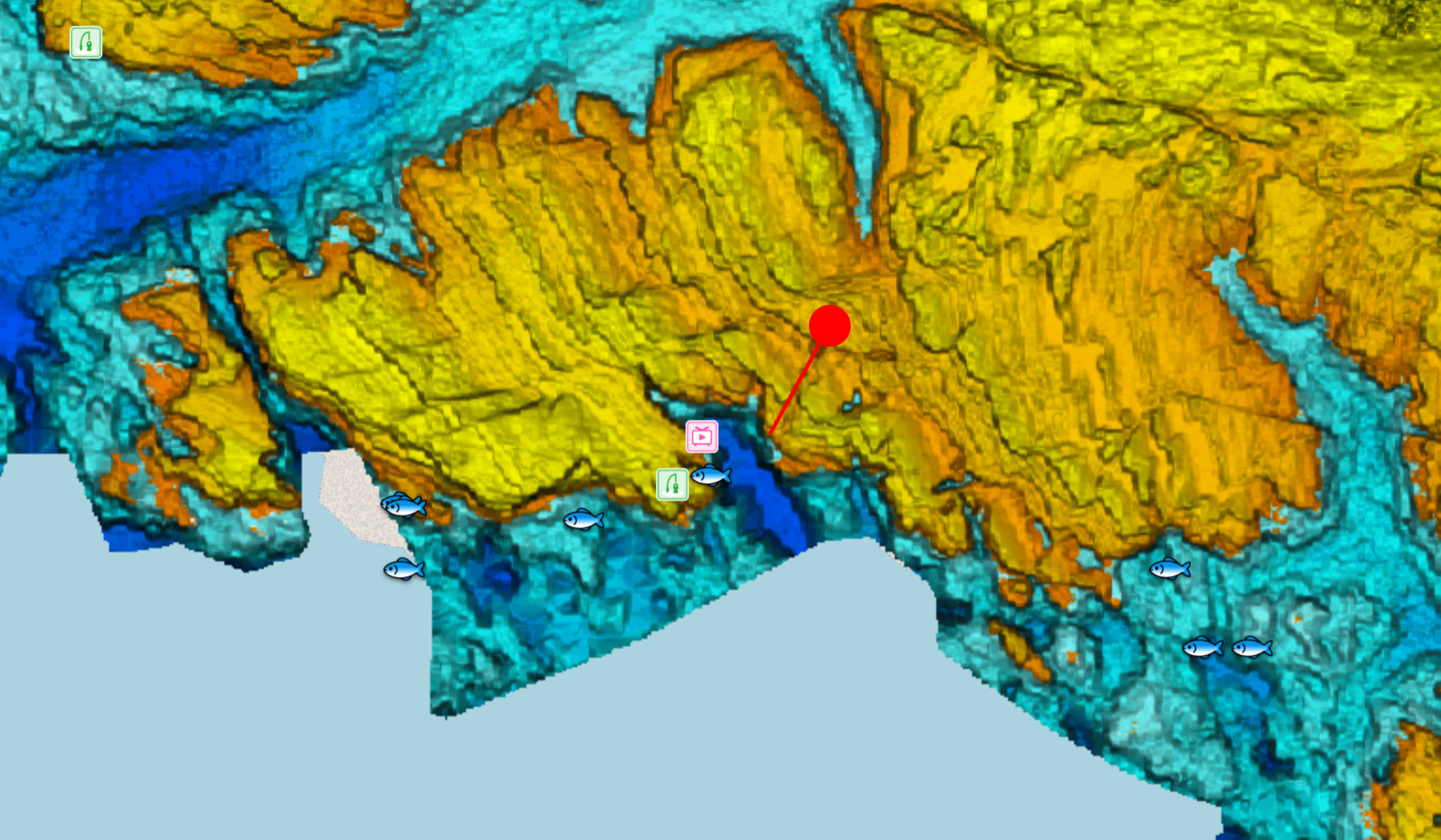 【城ケ島ヒナダン】雪が降る中 良型メジナを追い求めてフカセ釣り
