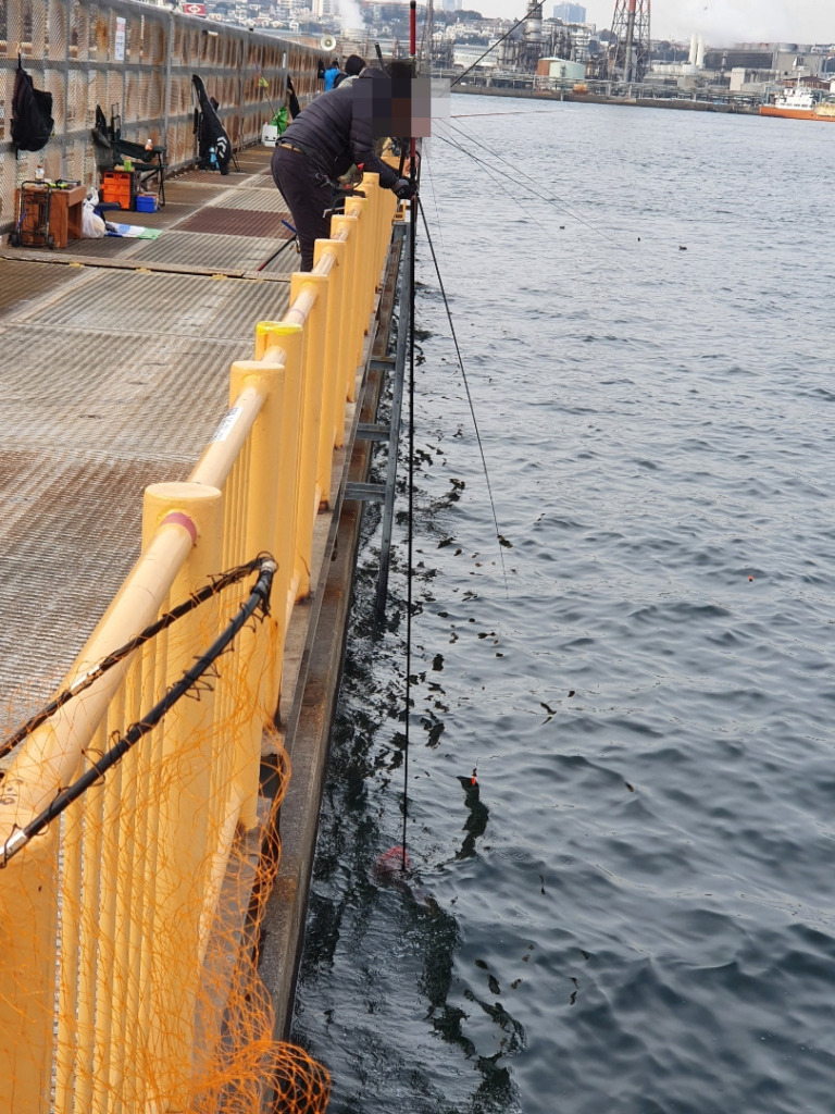 平日に磯子海釣り施設でウキフカセ釣り！投げ釣りでは大物が！！