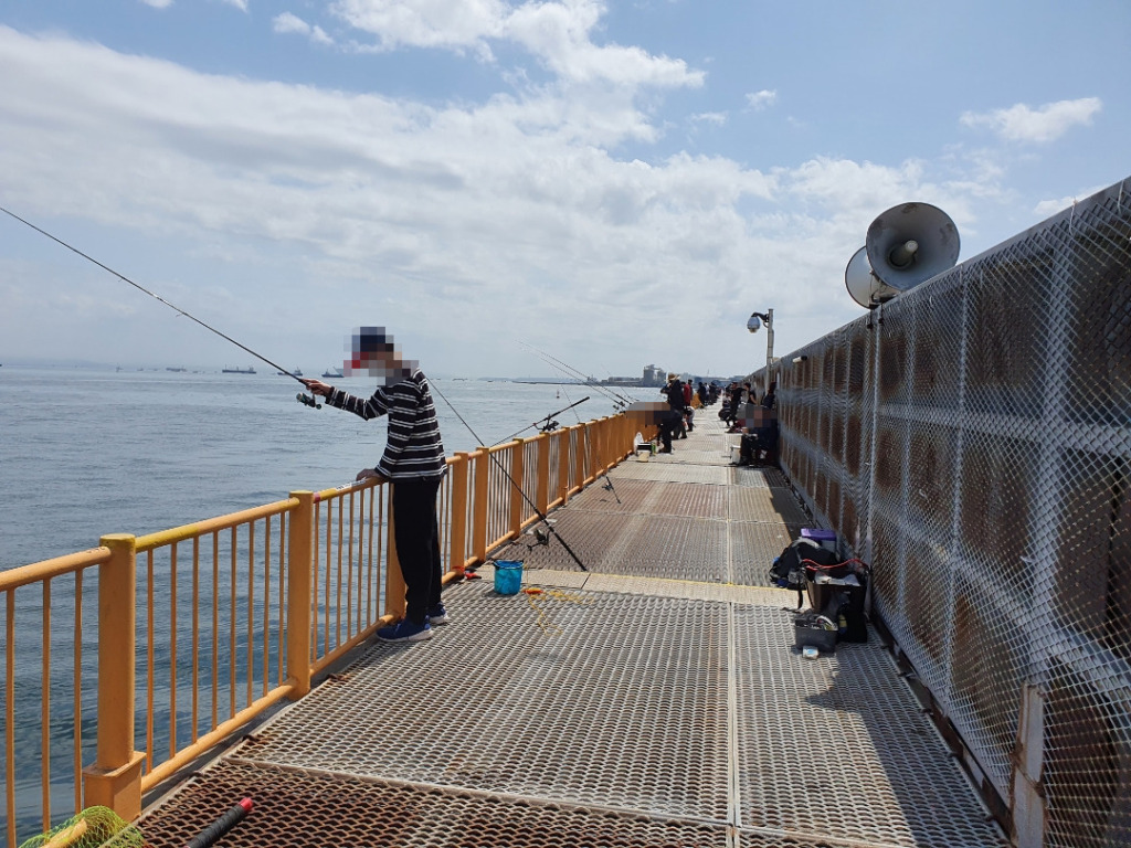 久しぶりにタコ釣りをすると？！：磯子海釣り施設